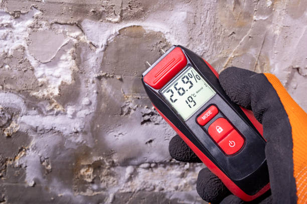 Best Certified Mold Removal  in Redlands, CO